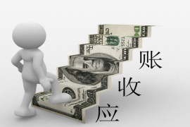 和布克赛尔专业催债公司的市场需求和前景分析