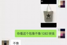 和布克赛尔如何避免债务纠纷？专业追讨公司教您应对之策